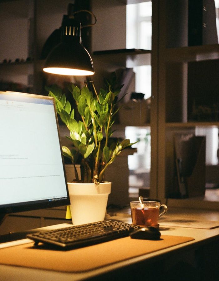 Minimalist workplace with soft lighting and plants